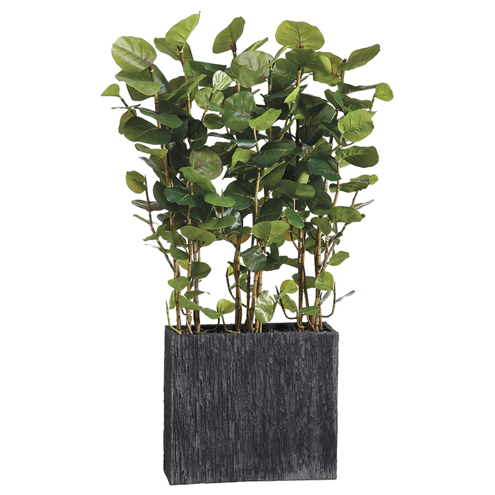 6'6" EVA Seagrape Wall Divider Artificial Tree w/Container -Green