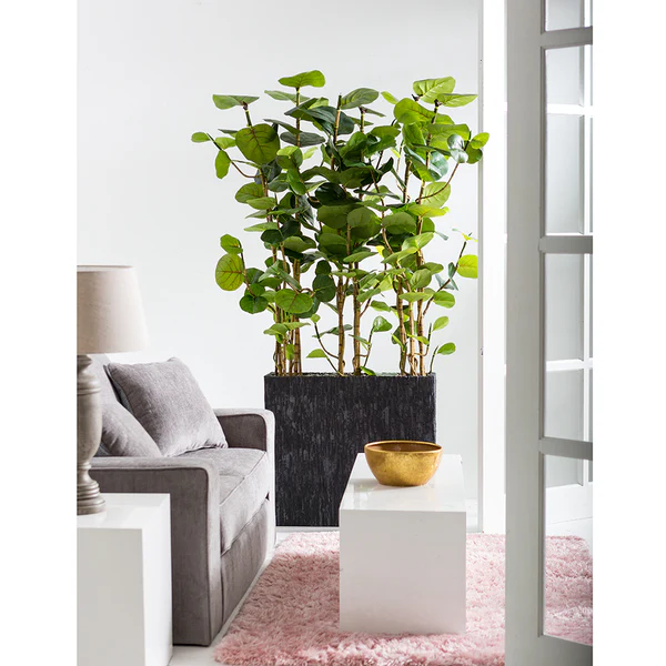6'6" EVA Seagrape Wall Divider Artificial Tree w/Container -Green - Image 2