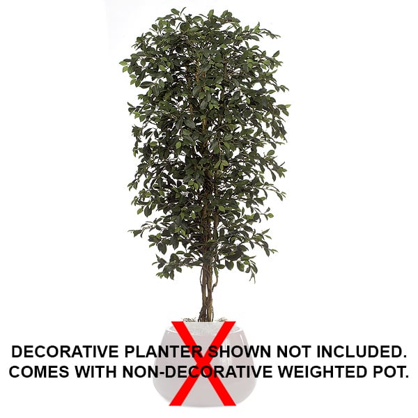 6'6" Ficus Silk Tree w/Pot -2,700 Leaves -Green