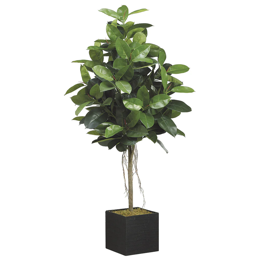 6'6" Rubber Leaf Silk Tree w/Bamboo Container -Green