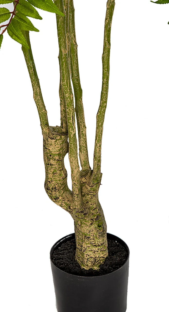 6'6" Silk Chinese Mahogany Tree w/Pot -Green - Image 3