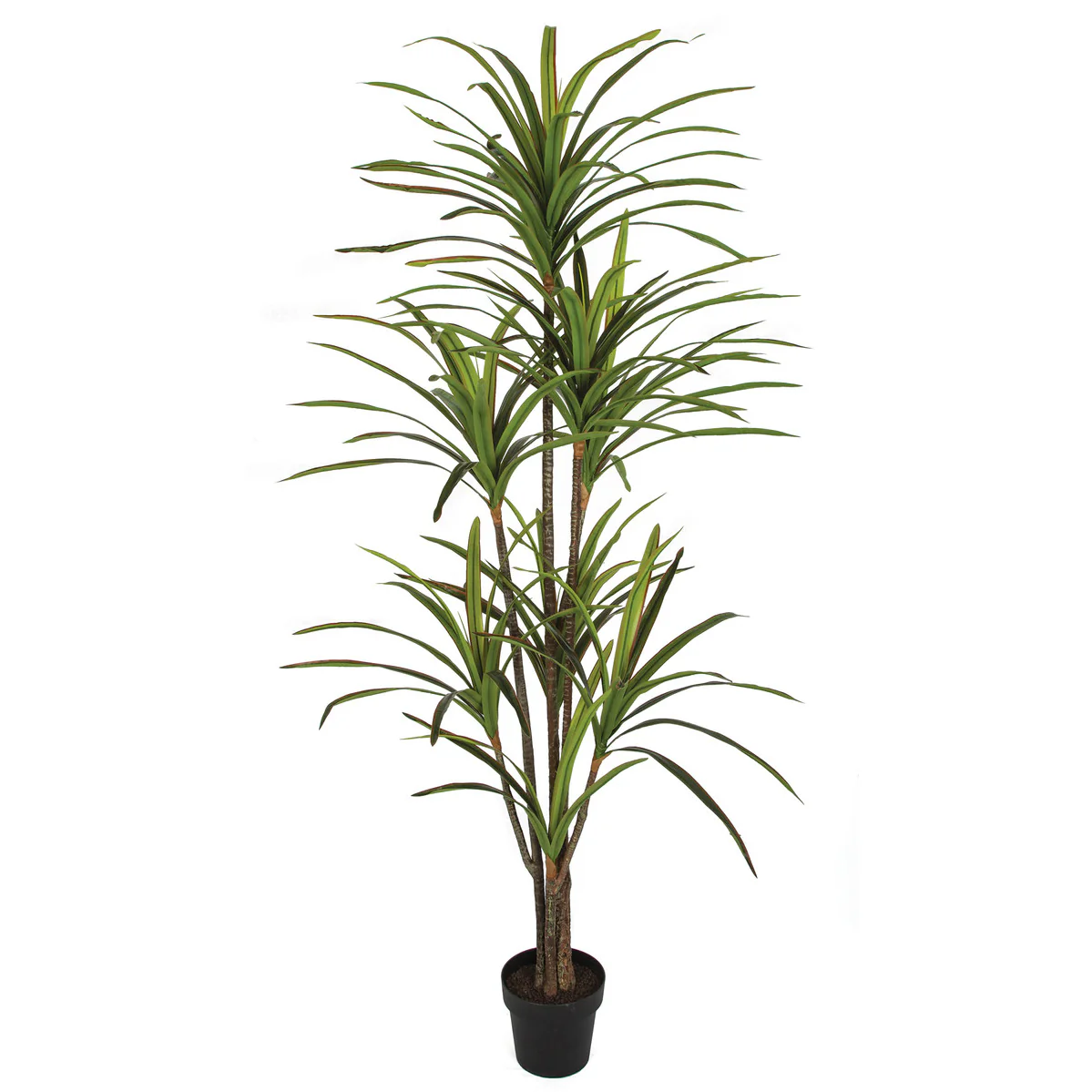 6'6" Soft-Touch Dracaena Silk Tree w/Pot -Green/Red