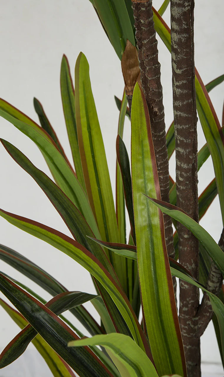 6'6" Soft-Touch Dracaena Silk Tree w/Pot -Green/Red - Image 2