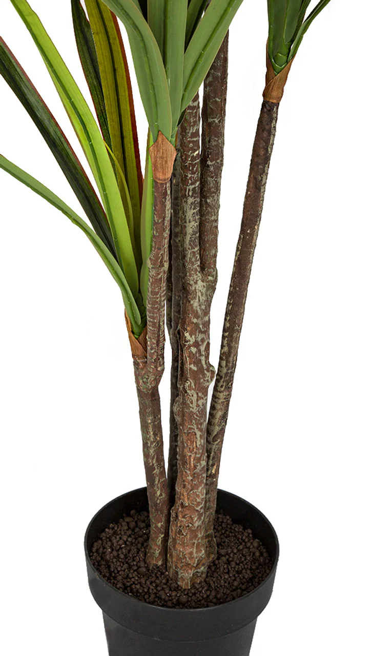 6'6" Soft-Touch Dracaena Silk Tree w/Pot -Green/Red - Image 3