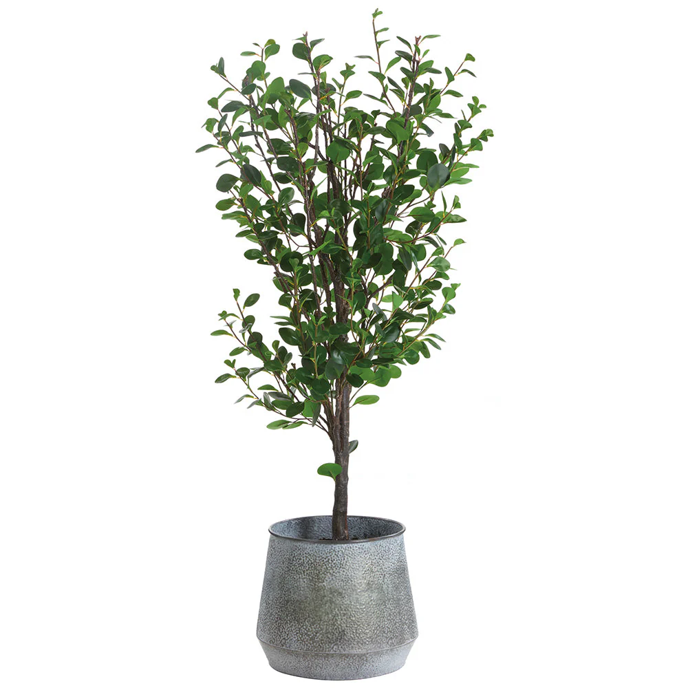 6'6"Hx36"W Silk Cotinus Tree w/Metal Pot -Green