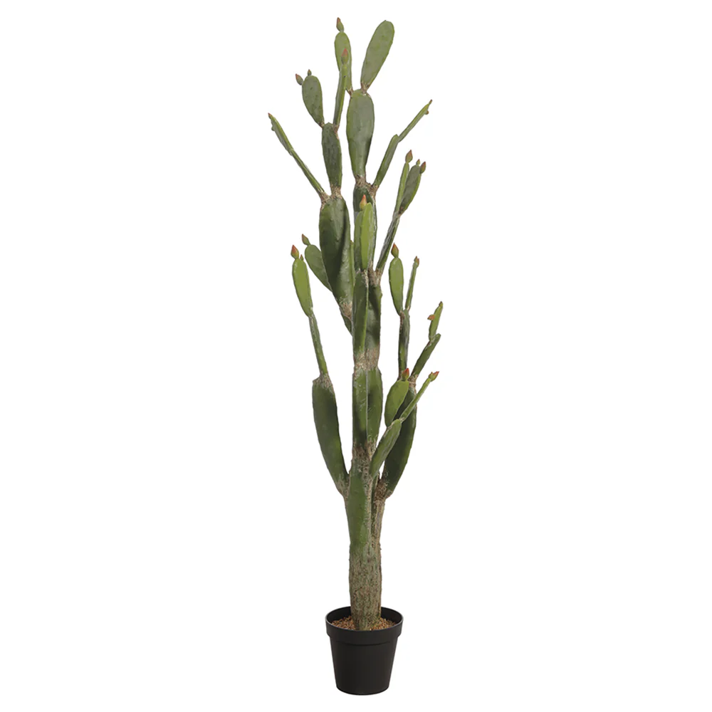 6'8" Artificial Bunny Ear Cactus Plant w/Pot -Green