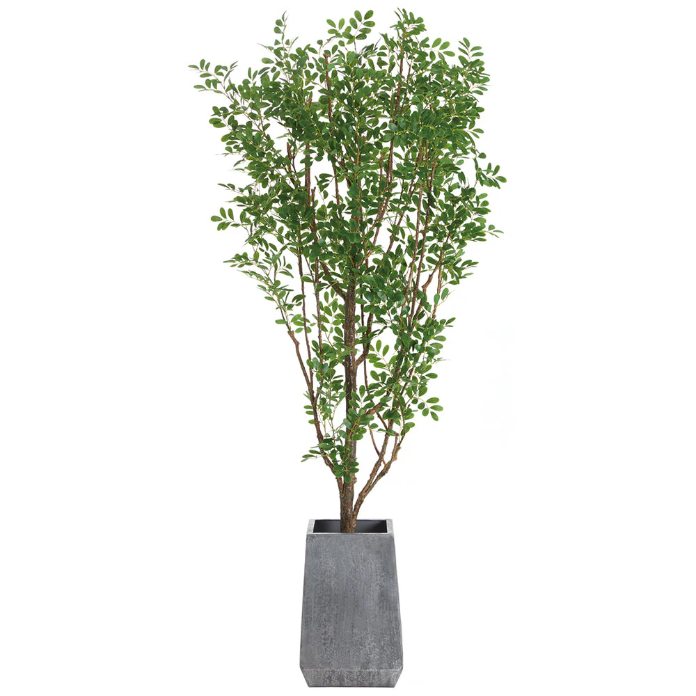 6'8"Hx32"W Cinamomo Chinaberry Silk Tree w/Metal Planter -Green