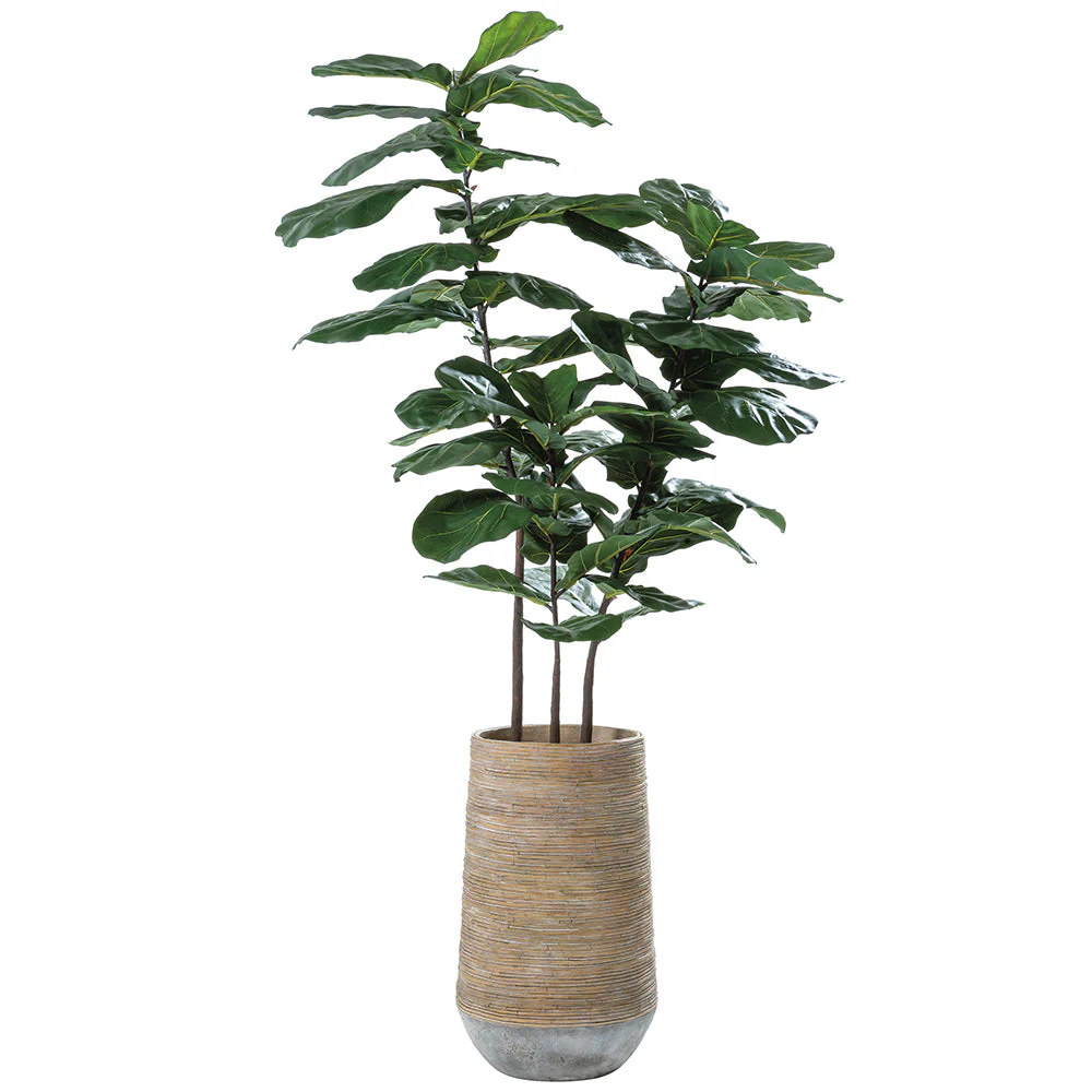 6'8"Hx32"W Fiddle Leaf Fig Artificial Tree w/Cement Planter -Green