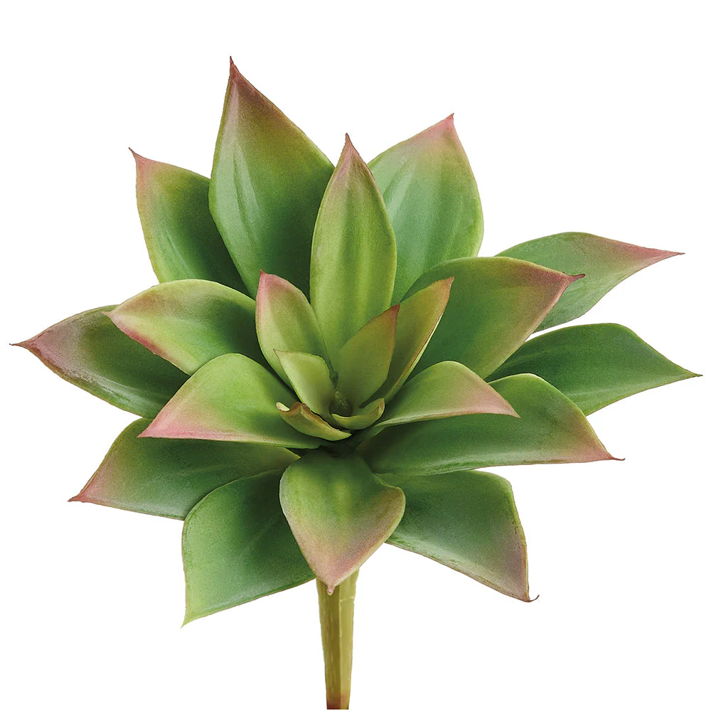 6"Hx4"W Outdoor UV-Resistant Artificial Echeveria Stem Pick -Green/Mauve (Pack of 24)