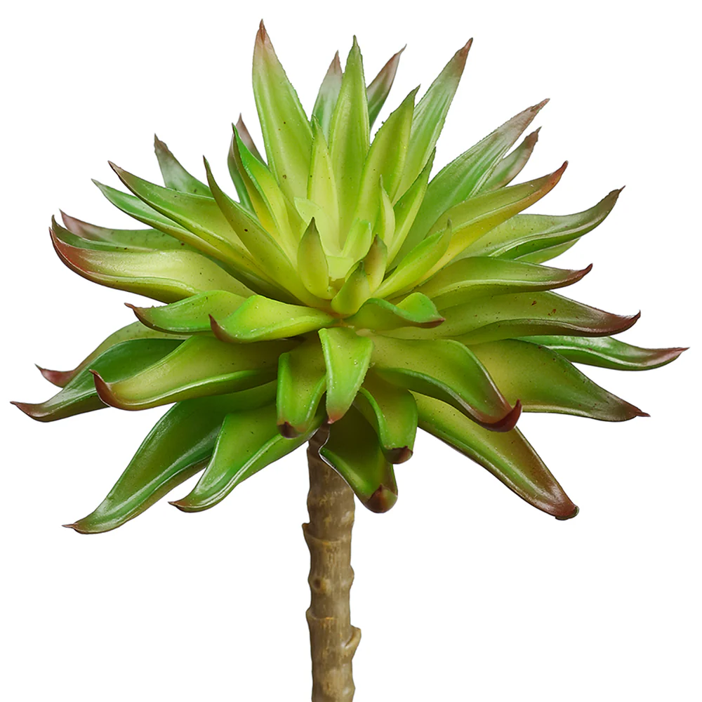 6"Hx5.5"W Real Touch Artificial Aeonium Stem Pick -Green/Burgundy (Pack of 12)