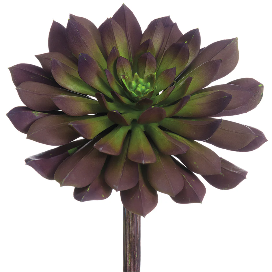 6"Hx6"W Real Touch Echeveria Artificial Stem Pick -Plum/Green (Pack of 12)