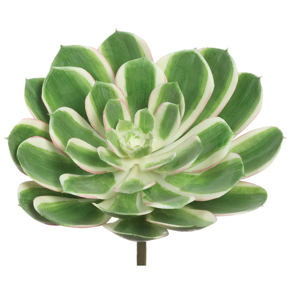 6"Hx9"W Outdoor UV-Resistant Artificial Real Touch Echeveria Stem Pick -Green/Pink (Pack of 6)