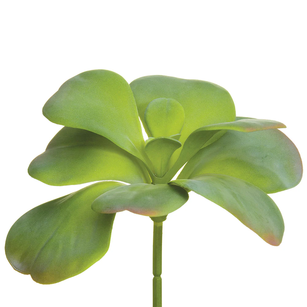 6"Hx9"W PE Soft-Touch Artificial Kalanchoe Stem Pick -Green/Gray (Pack of 12)