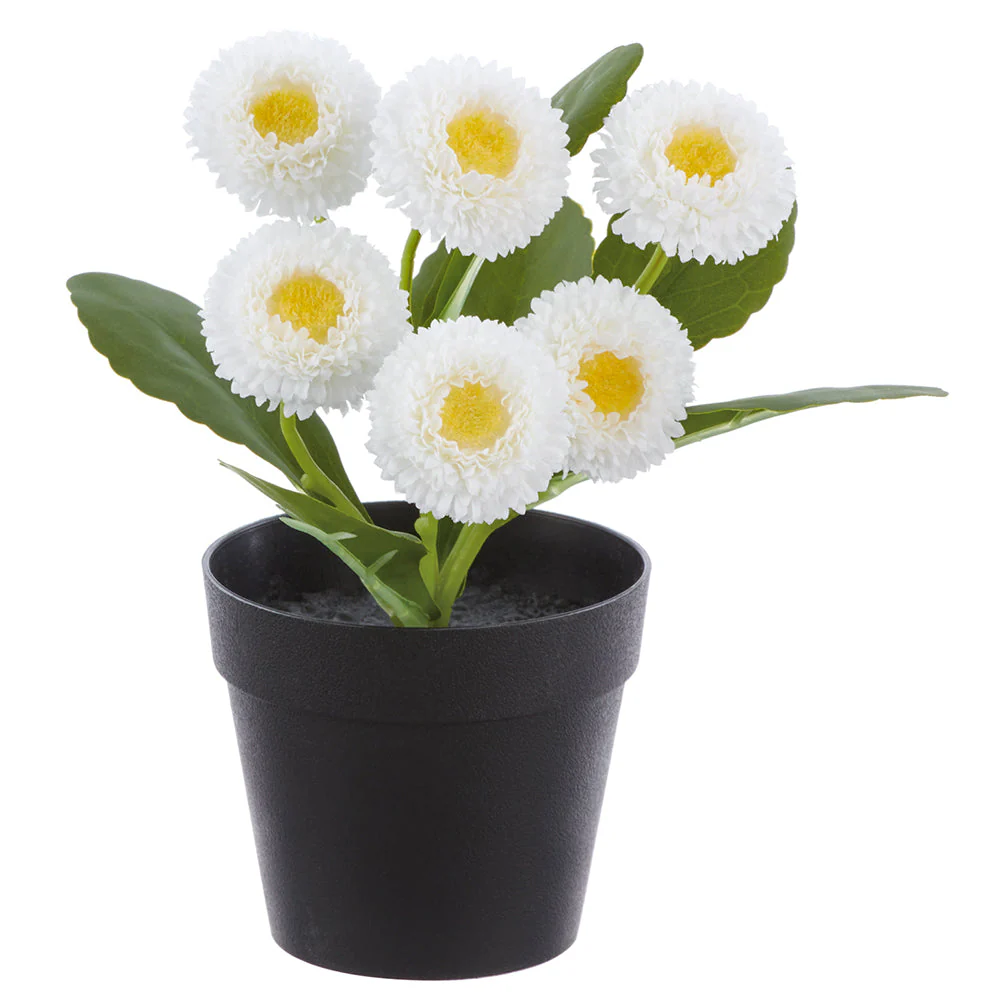 7.5" Daisy Silk Flower Arrangement w/Plastic Pot -White (Pack of 8)