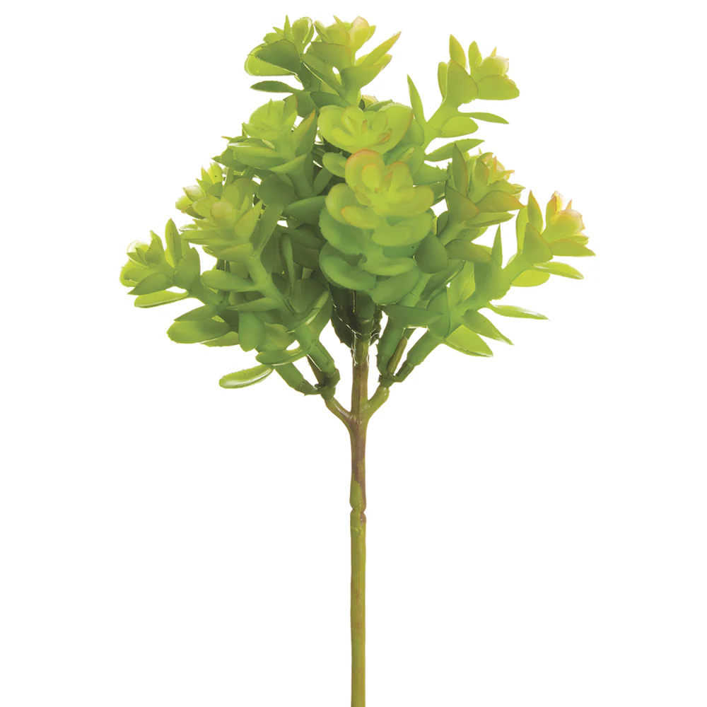7.5" Real Touch Artificial Sedum Succulent Stem Pick -2 Tone Green (Pack of 12)