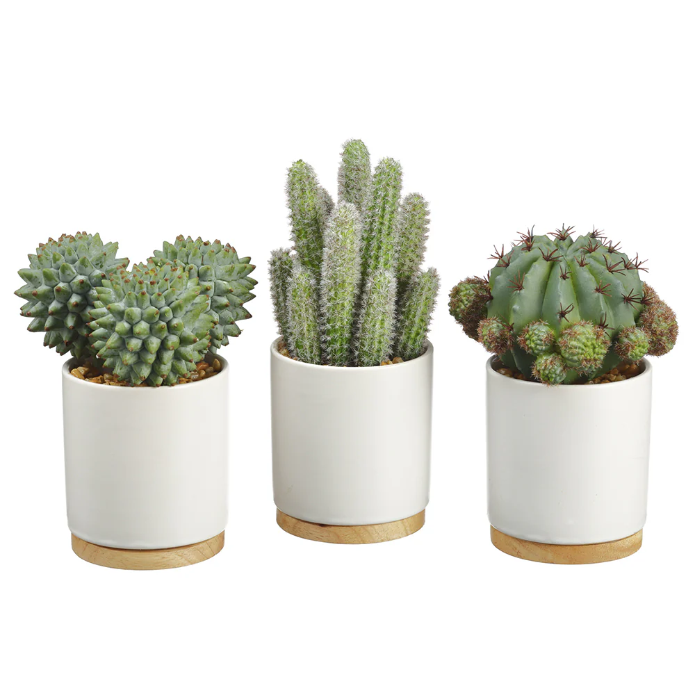 7.5" Set Of Artificial Barrel & Column Cactus Plants w/Ceramic Pots -Green/Gray