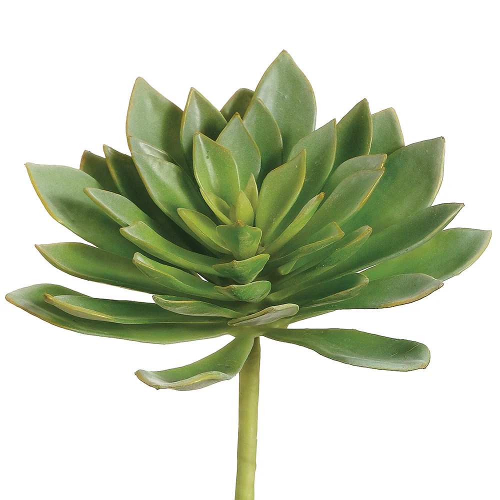 7.5"Hx9"W Echeveria Artificial Stem -Green (Pack of 6)