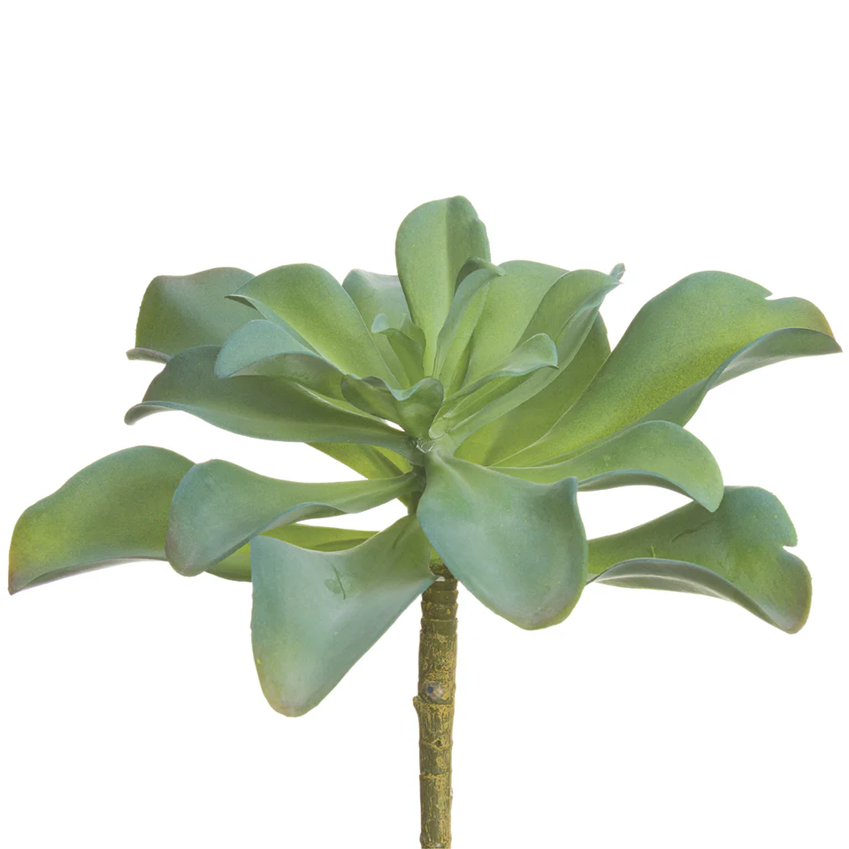 7" Artificial Kalanchoe Plant -Green/Gray (Pack of 12)