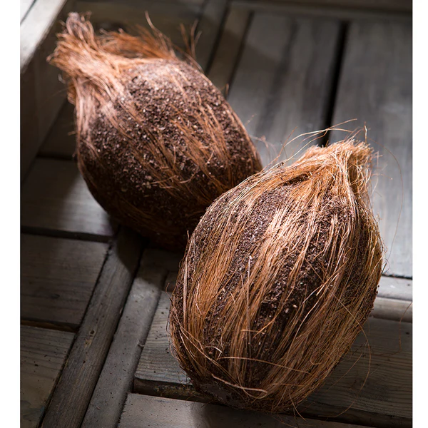 7" Artificial Weighted Coconut -Brown (Pack of 6) - Image 2