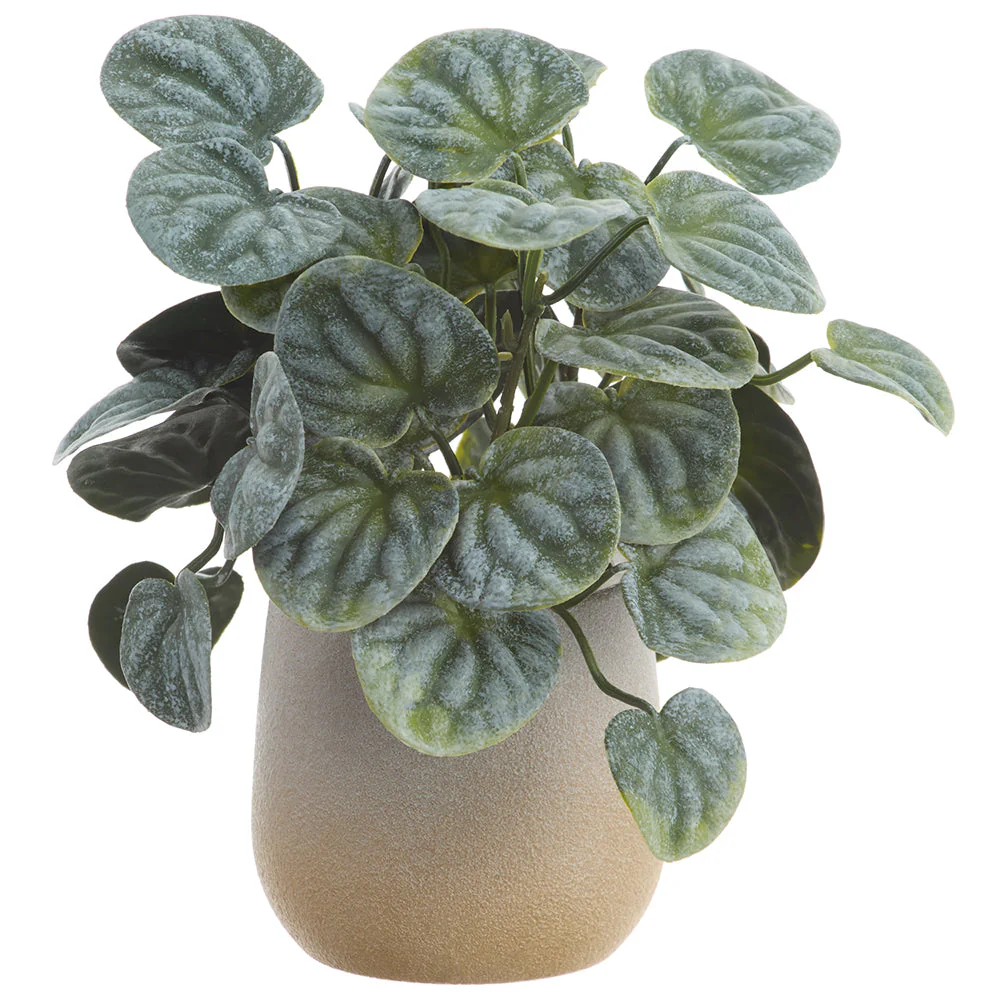 7" PE Pepperomia Leaf Silk Plant w/Plastic Pot -Green/Gray (Pack of 6)