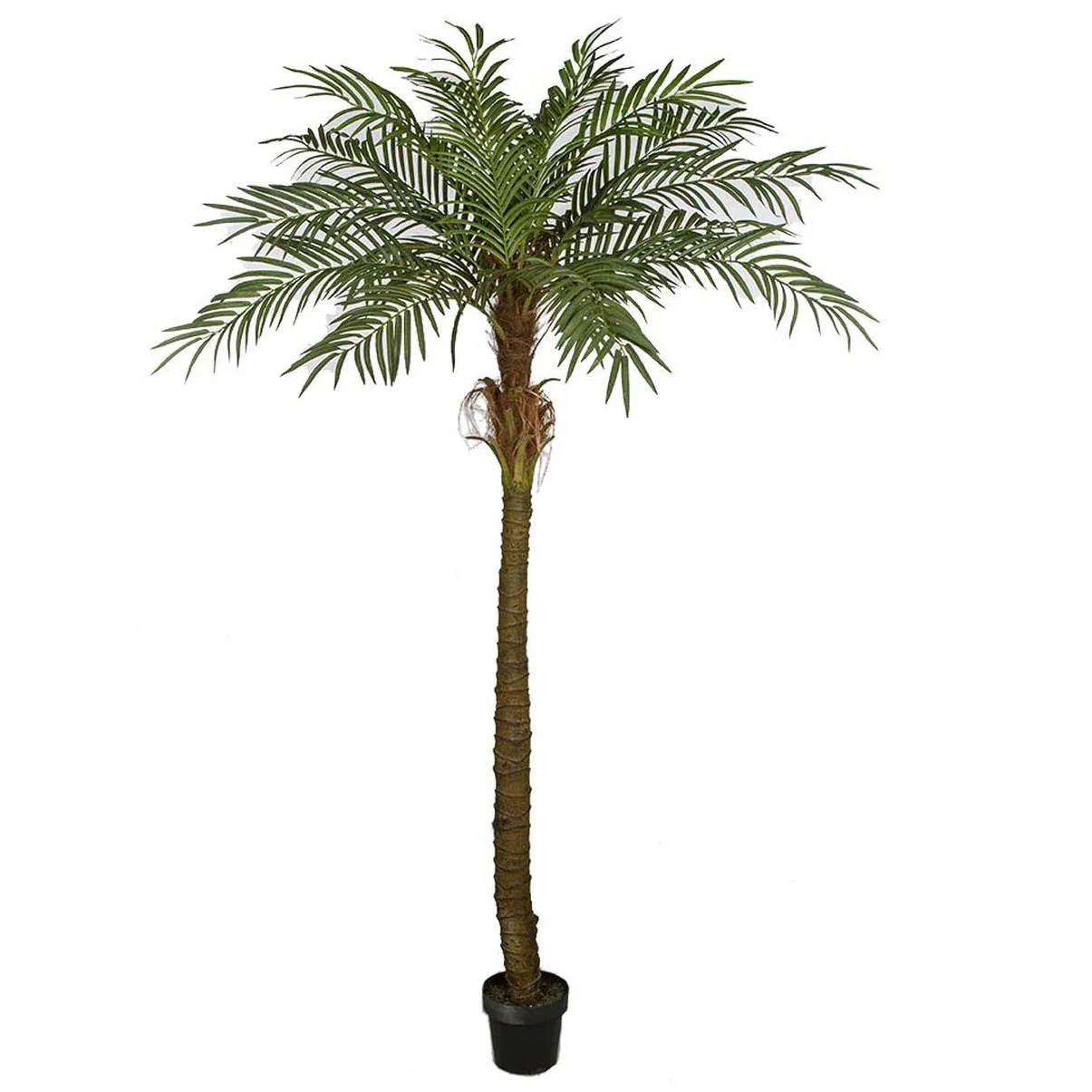 7' Phoenix Date Silk Palm Tree w/Pot -Green