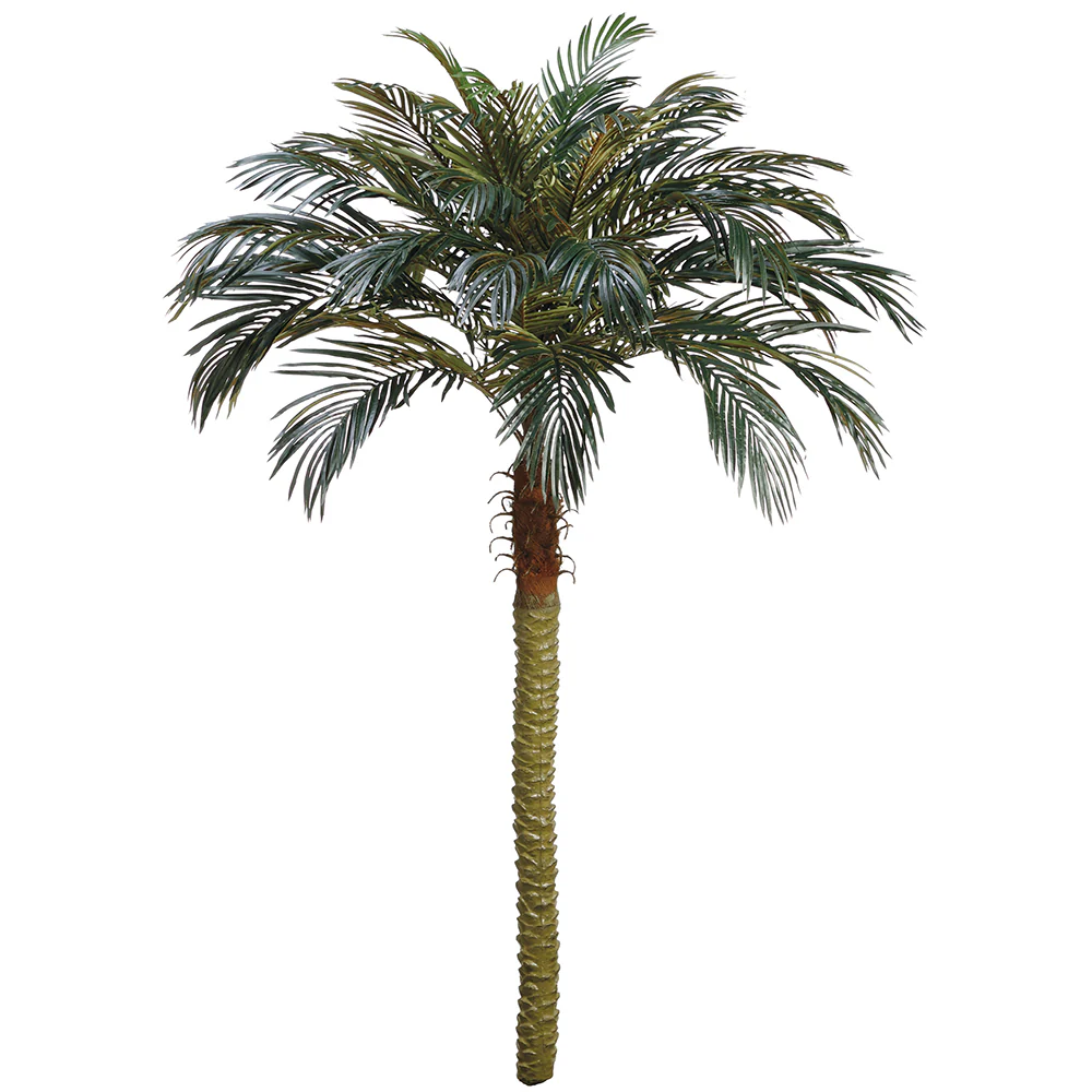 7' Phoenix Silk Palm Tree -Green (Pack of 2)