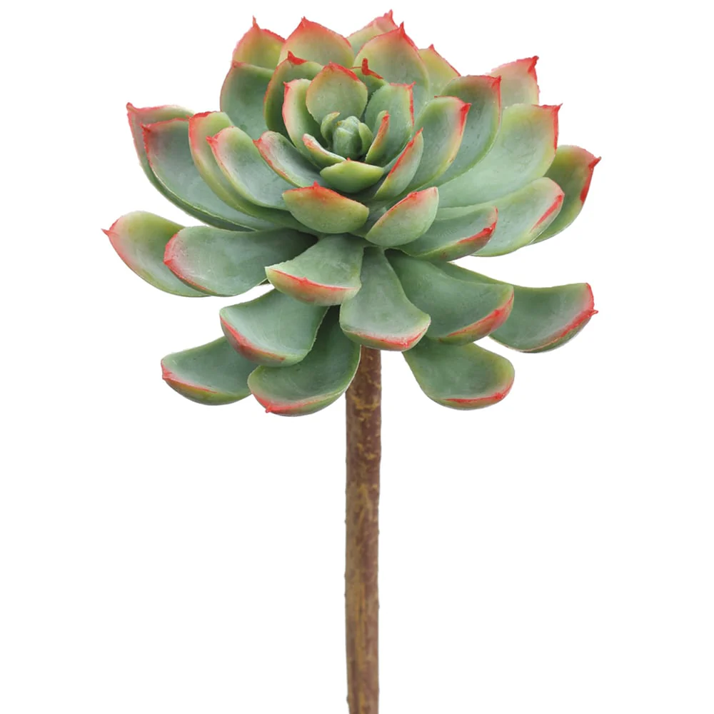 7" Real Touch Artificial Echeveria Stem Pick -Green/Red (Pack of 12)