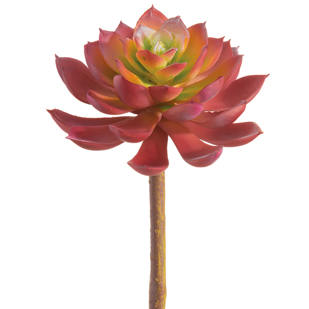 7" Real Touch Artificial Echeveria Stem Pick -Rose/Green (Pack of 12)