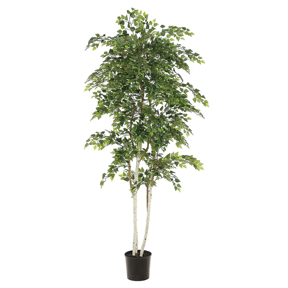 7' Sherman Birch Silk Tree w/Pot -Green (Pack of 2)