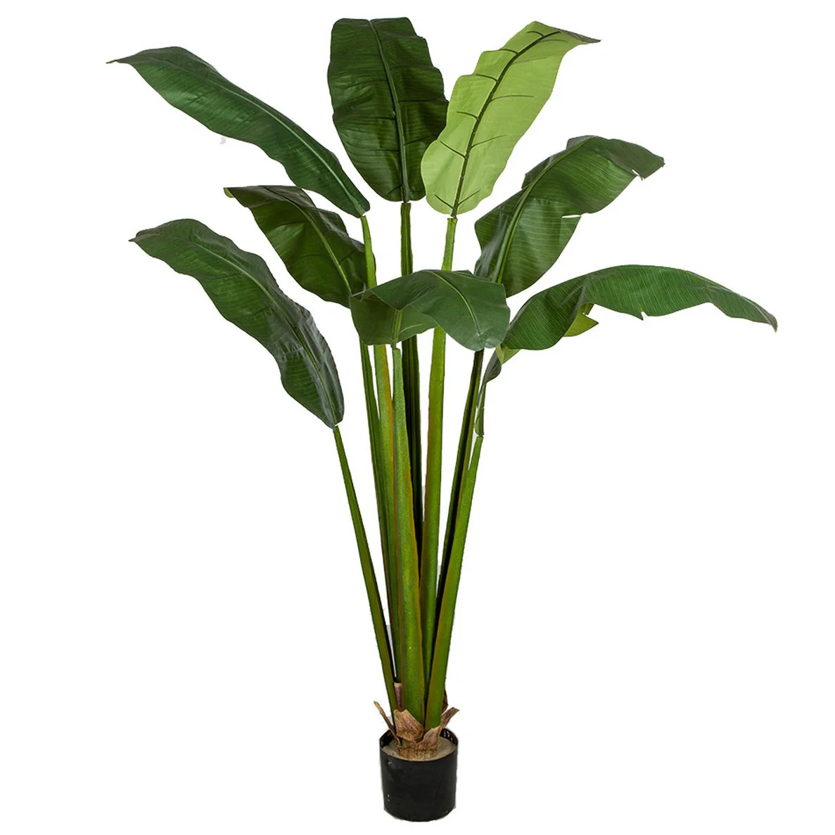 7' Silk Bird Of Paradise Palm Tree w/Pot -Green