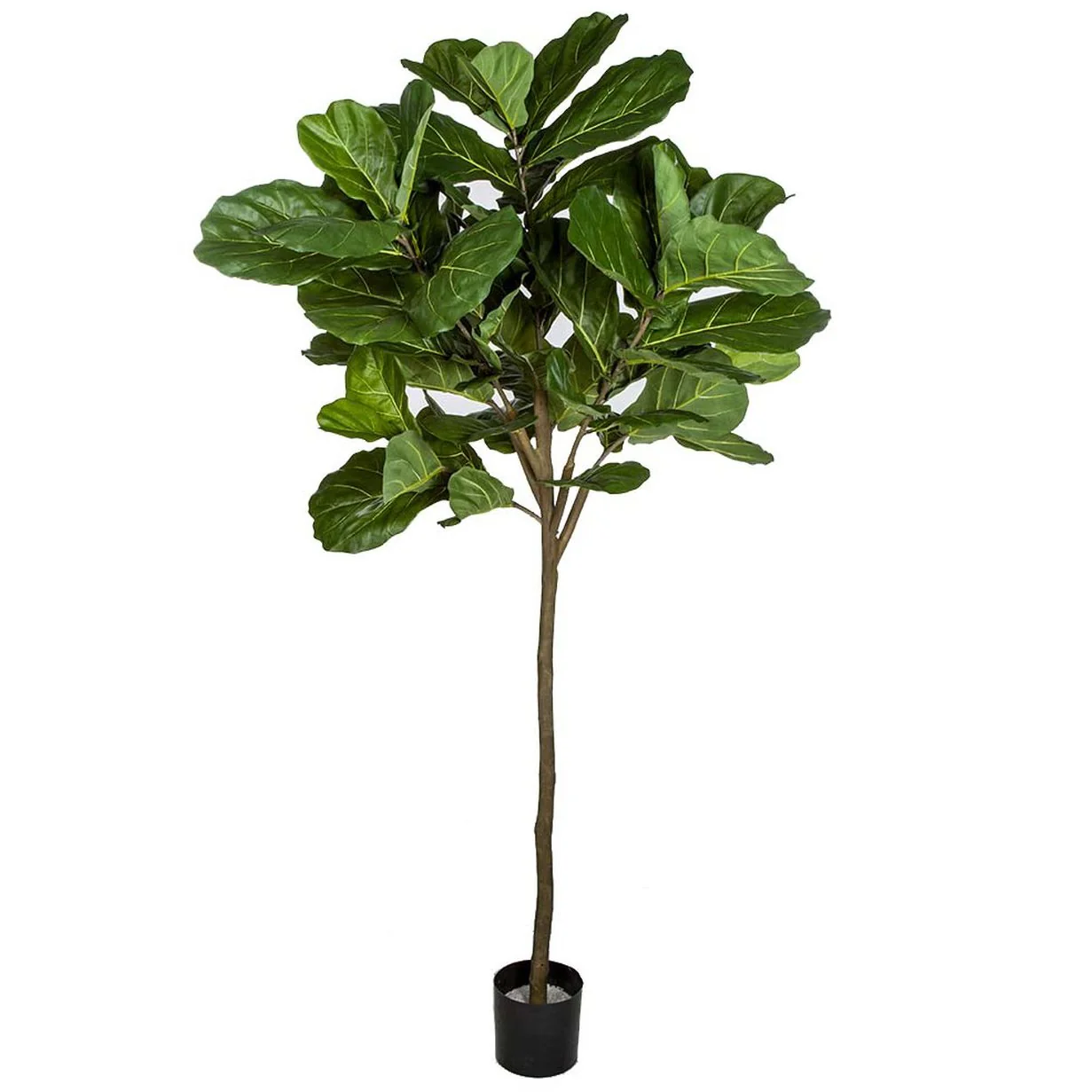 7' Silk Fiddle Leaf Fig Tree w/Pot -Green