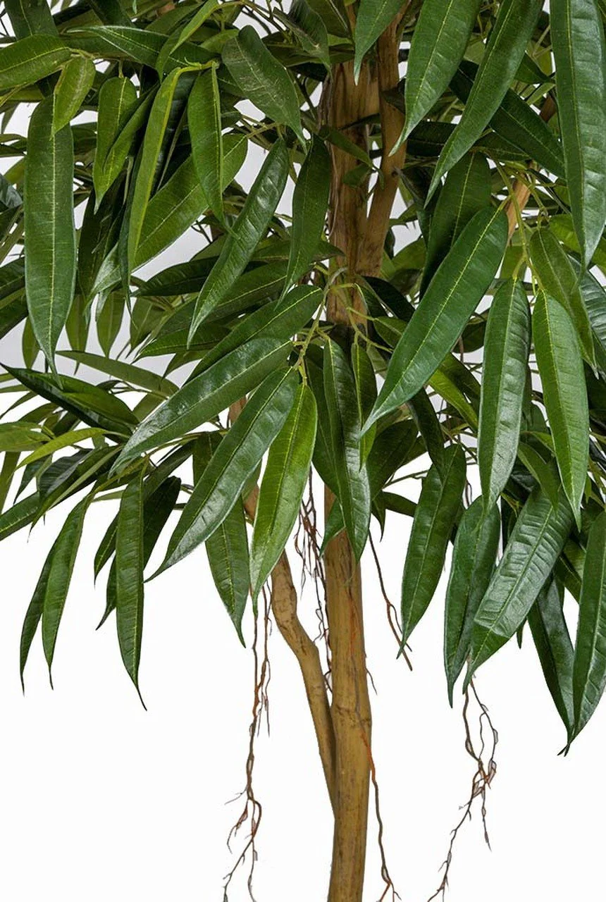7' Silk Royal Longifolia Tree w/Pot -1,251 Leaves -Green - Image 2