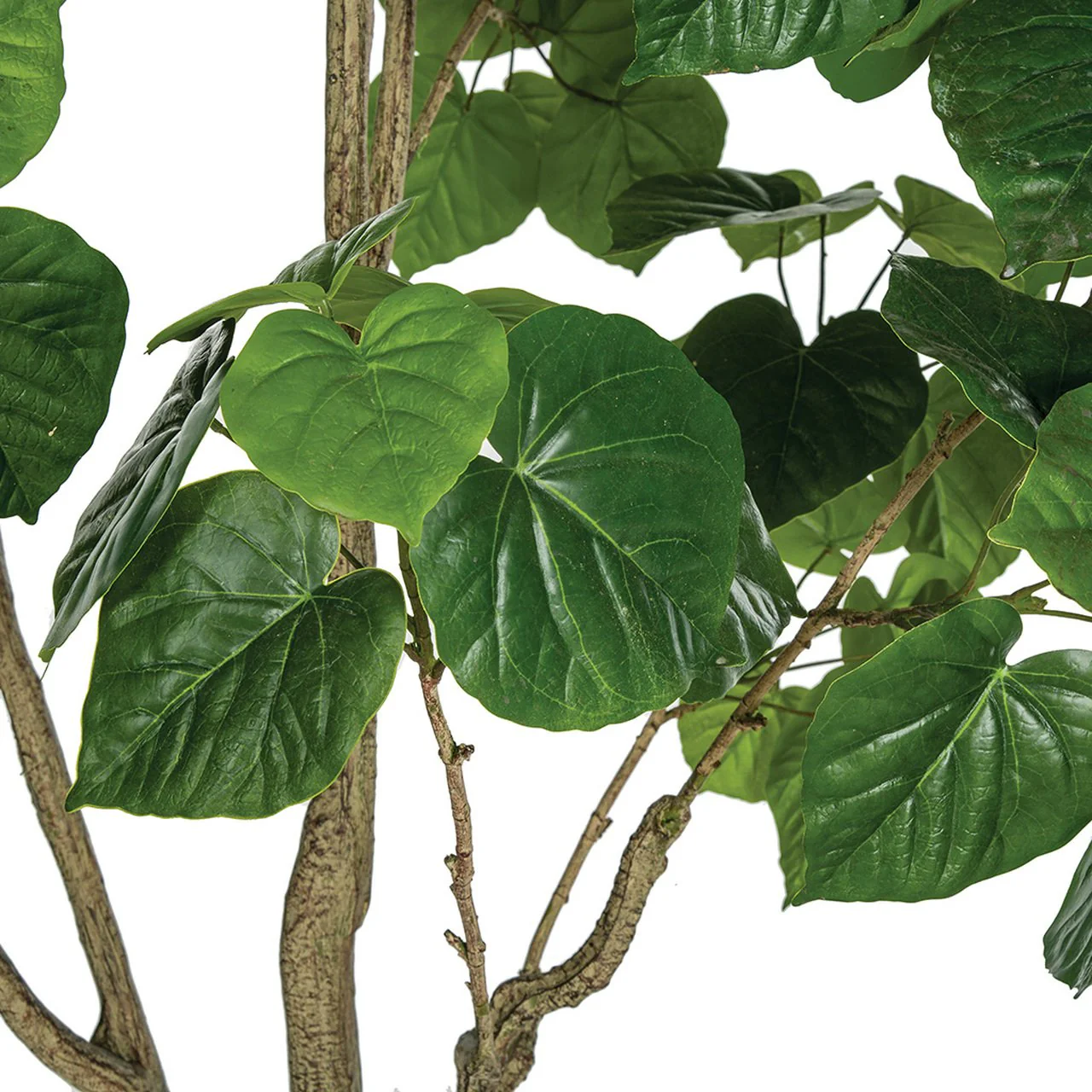 7' Soft-Touch Ficus Umbellata Silk Tree w/Pot -Green - Image 2