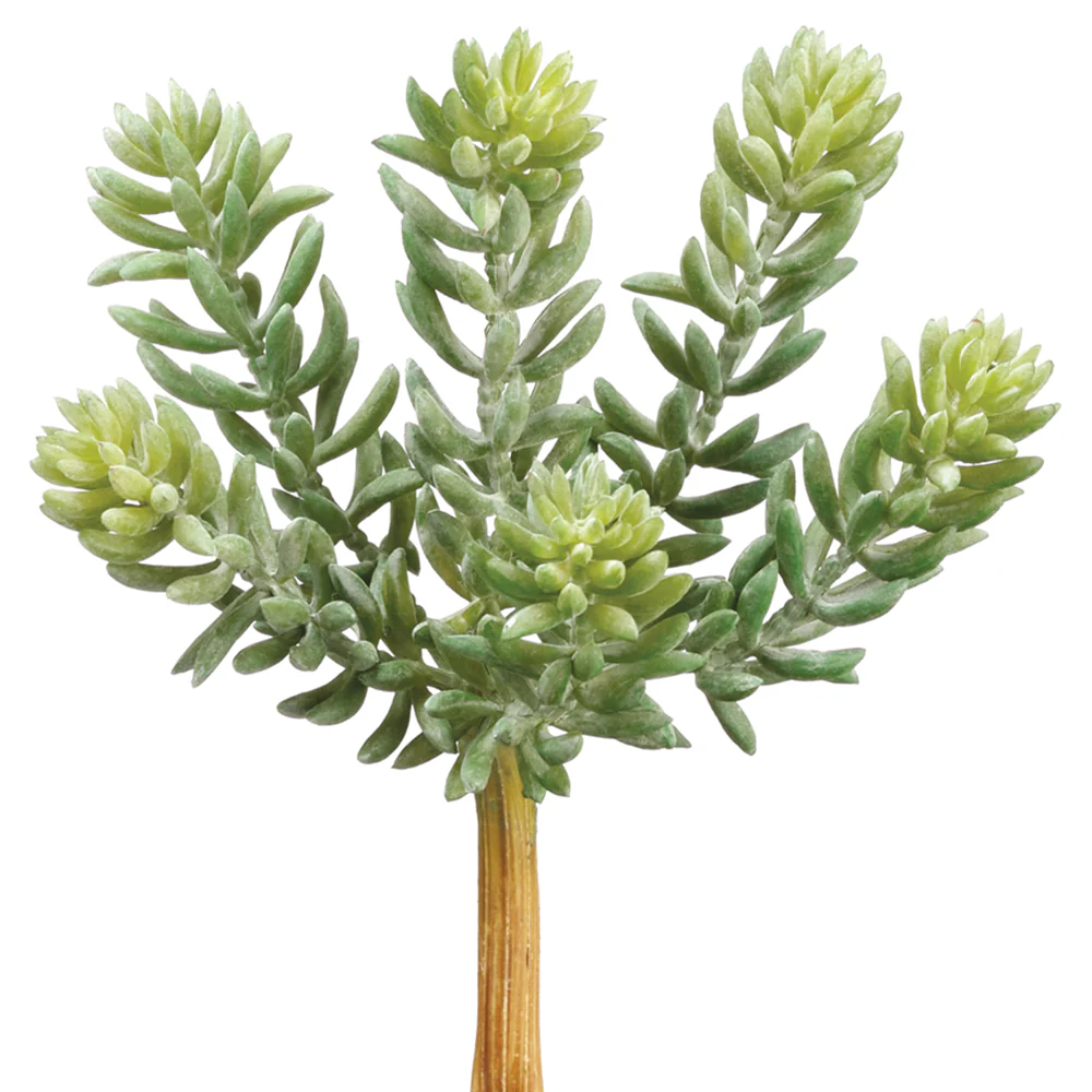 7" Soft-Touch Sedum Artificial Stem Pick -Green/Gray (Pack of 36)