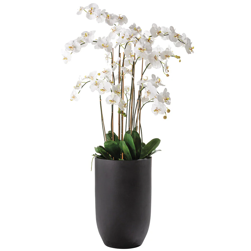 70.5"Hx40"W Phalaenopsis Orchid Silk Flower Arrangement w/Cement Planter -White