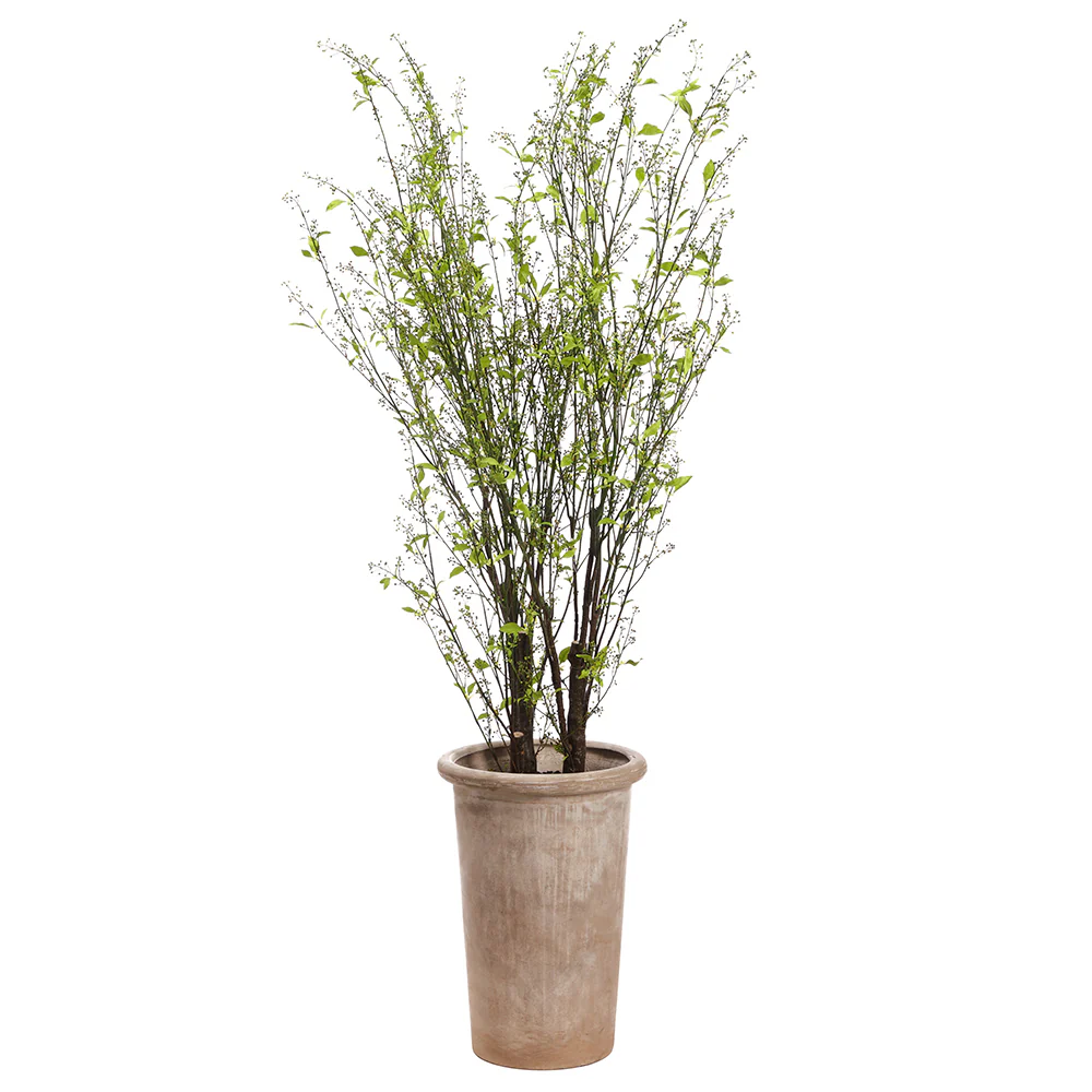 7'11" Artificial Berry Tree w/Cement Planter -Green/Yellow