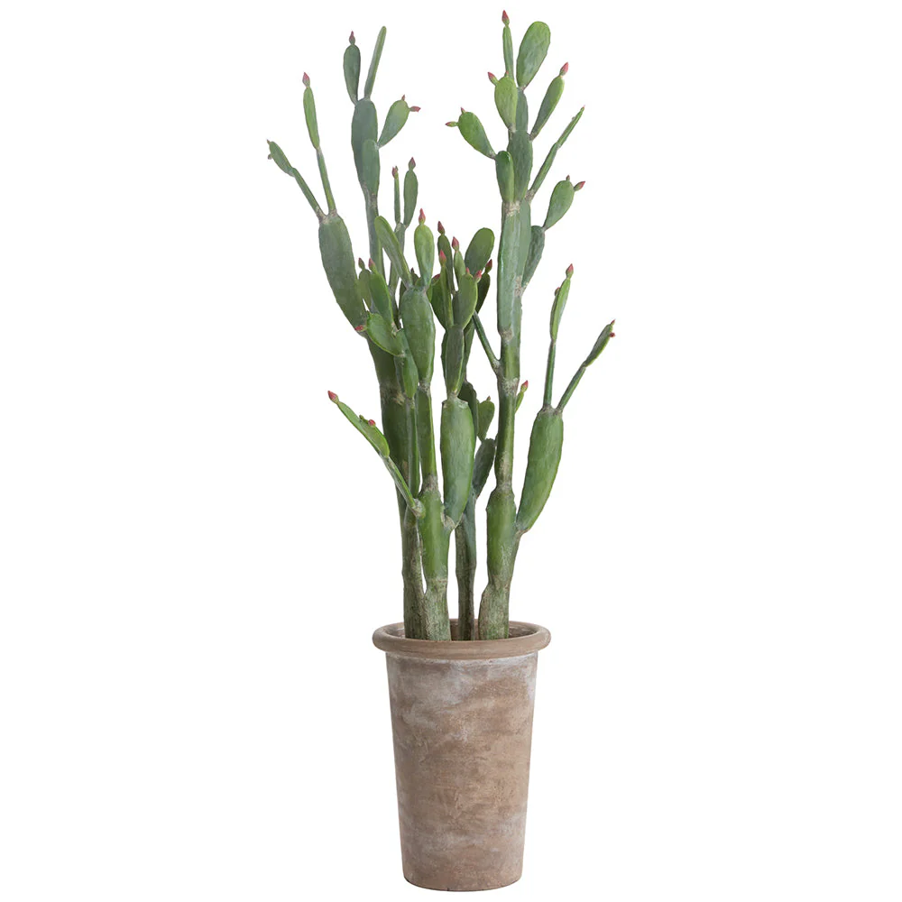 7'11"Hx34"W Bunny Ear Cactus Artificial Plant w/Cement Planter -Green