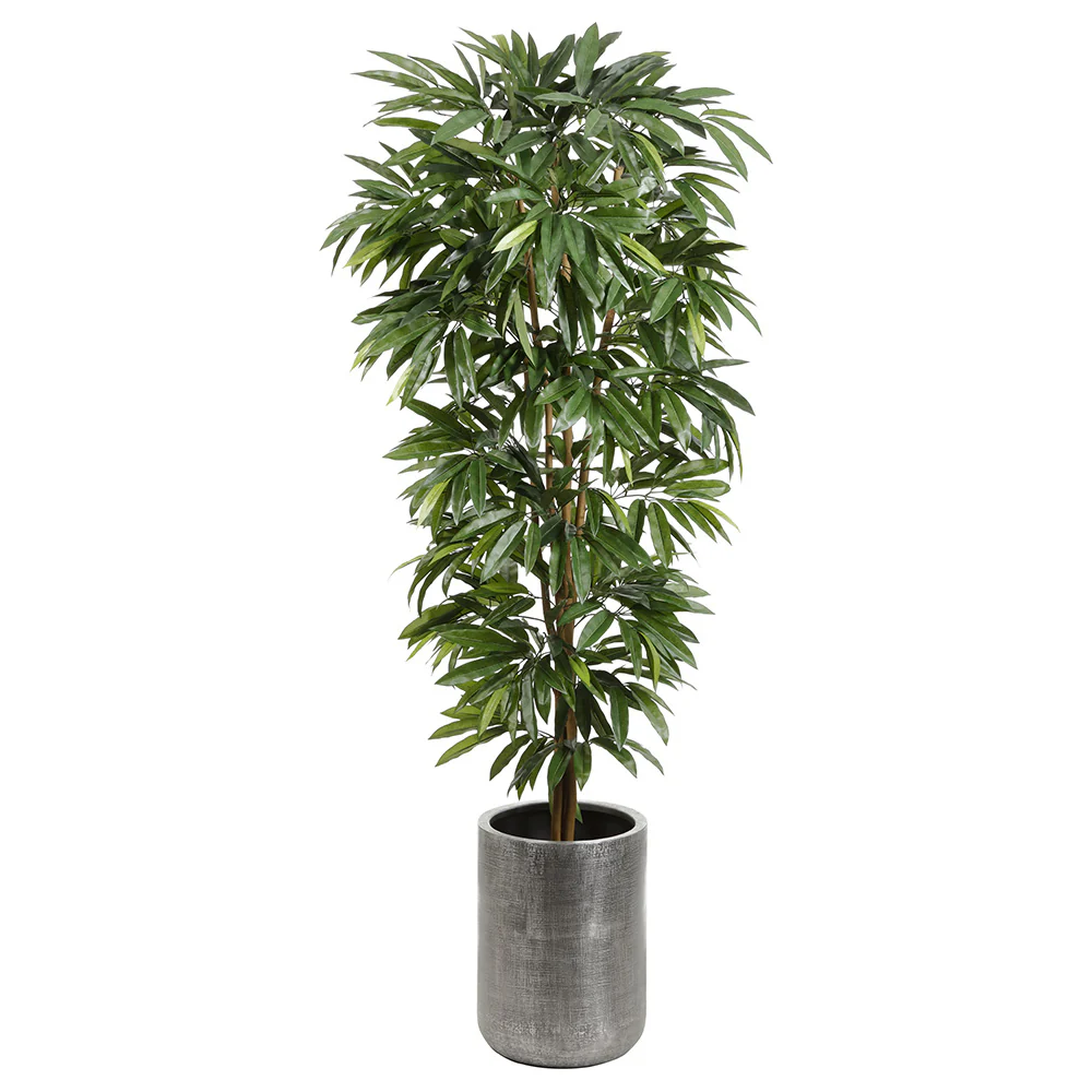 7'2" Silk Mango Tree w/Textured Zinc Planter -Green
