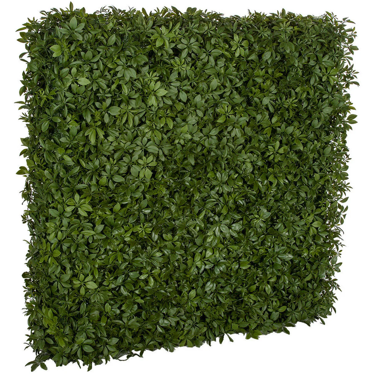72"Hx48"Wx10"D Outdoor UV-Resistant Artificial Schefflera Leaf Topiary Hedge -2 Tone Green
