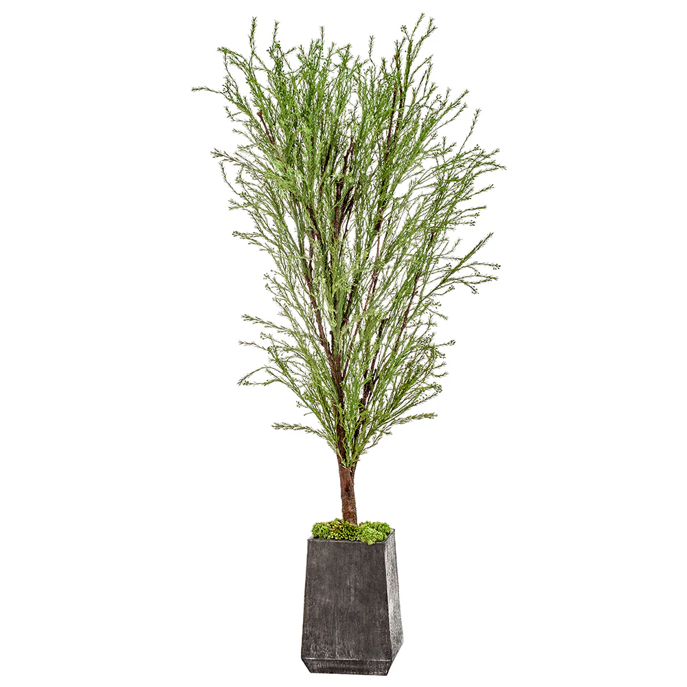 7'3" Evergreen Silk Tree w/Textured Planter -Green