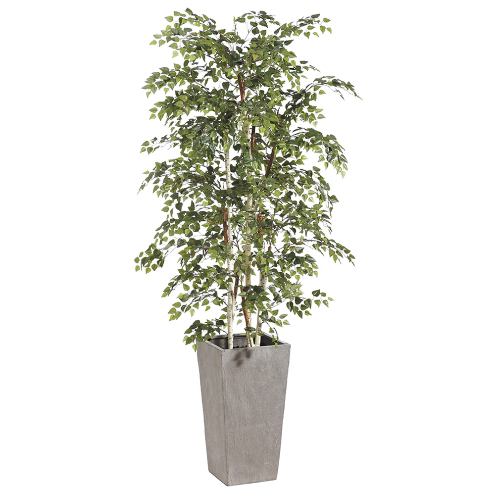 7'4" Silk Birch Tree w/Fiber Cement Container -Green