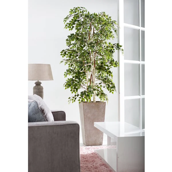 7'4" Silk Birch Tree w/Fiber Cement Container -Green - Image 2