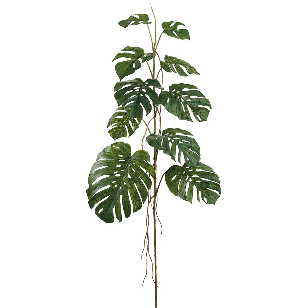 75" Monstera Split Philodendron Leaf Silk Branch Stem -Green (Pack of 2)