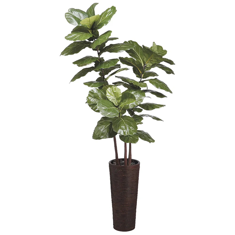 7'6" Fiddle Leaf Fig Silk Tree w/Bamboo & Rope Container -Green