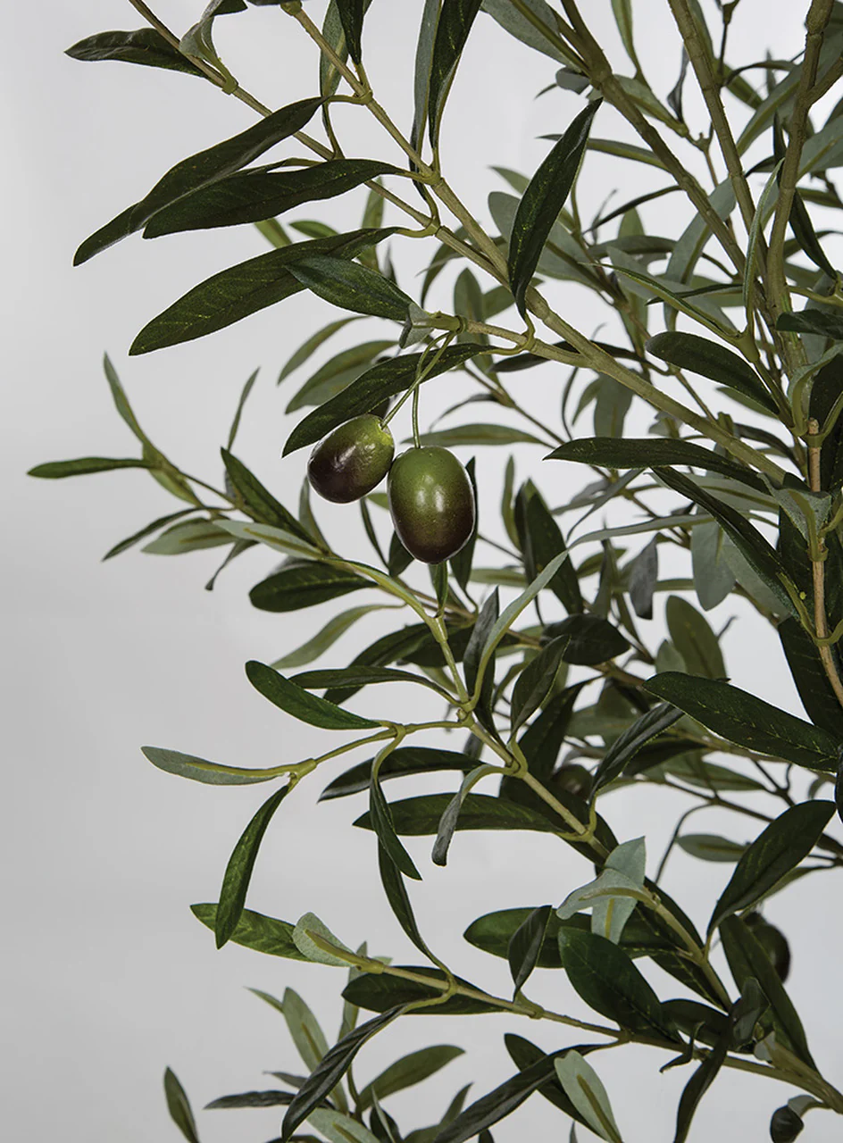 7'6" Silk Olive Tree With Olives w/Pot -Green - Image 2