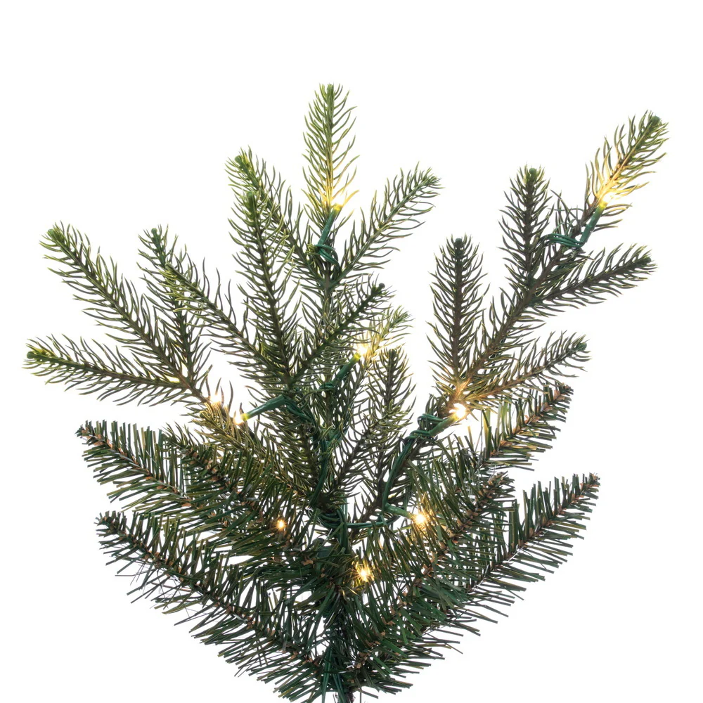 7'6"Hx58"W PE Orchard Fraser Fir Artificial Christmas Tree, Micro LED Pre-Lit (Multi-Mode) -Green - Image 2