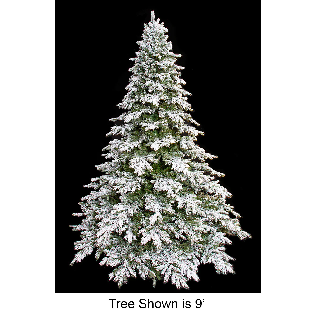 7'6"Hx65"W PE Frosted Black Mountain Spruce Artificial Christmas Tree, Unlit -White/Green