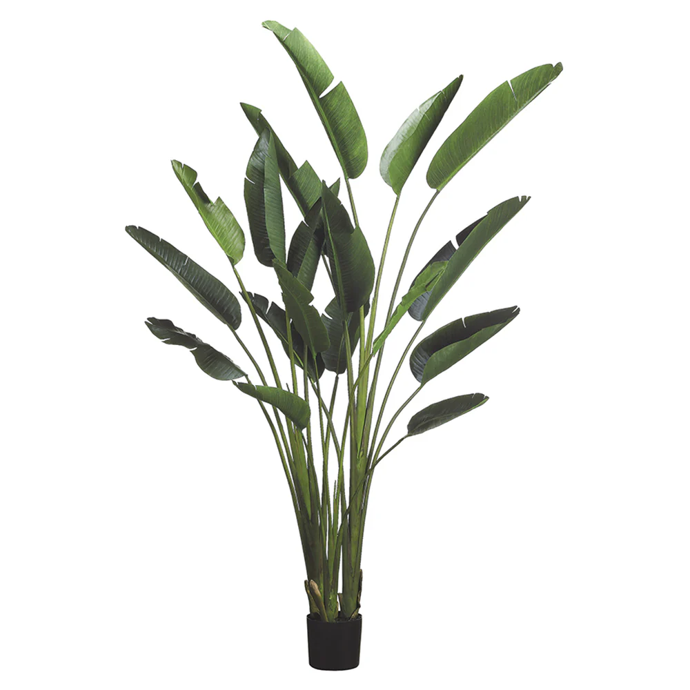 7'9" Bird Of Paradise Silk Palm Tree w/Pot -Green (Pack of 2)