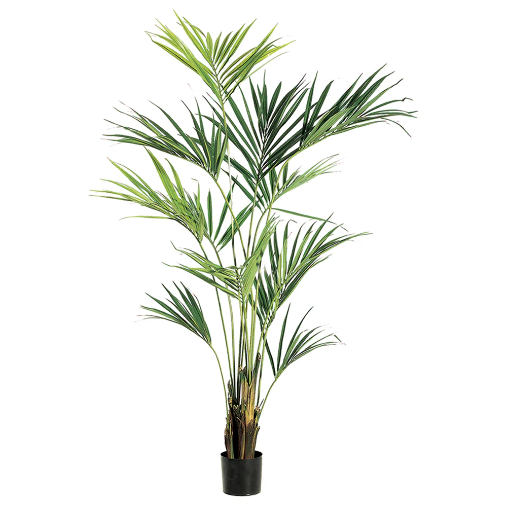 7'9" Kentia Silk Palm Tree w/Pot -Light Green