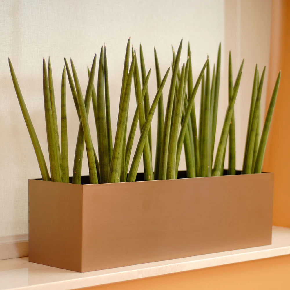 7"Hx24"W to 7"Hx30"W Vista Metallic Rectangle Planter - Image 5